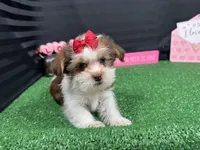 processed/e1eb33b4-003e-4a8e-bf1b-32beb59b2663/listing/c684db77-78fb-40e2-bfa2-43ff7e8e1d82/681d61a6-d72f-4ae1-ba87-da6447465b17