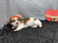 processed/e1eb33b4-003e-4a8e-bf1b-32beb59b2663/listing/c684db77-78fb-40e2-bfa2-43ff7e8e1d82/8412757f-329c-4731-a24b-b9fa5f386d60