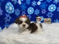 processed/e1eb33b4-003e-4a8e-bf1b-32beb59b2663/listing/c684db77-78fb-40e2-bfa2-43ff7e8e1d82/dc3fa38e-27dc-4100-a670-f58ce03e16f1