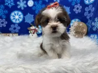 processed/e1eb33b4-003e-4a8e-bf1b-32beb59b2663/listing/c684db77-78fb-40e2-bfa2-43ff7e8e1d82/fb0d6775-353f-4f6f-9d1f-0c38e29c89fb