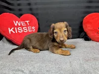 processed/e1eb33b4-003e-4a8e-bf1b-32beb59b2663/listing/d5d256ea-1770-47ce-b546-8c6deaea42ab/ada9de0f-222a-4aa1-b563-3893bccdb4e2