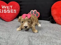 processed/e1eb33b4-003e-4a8e-bf1b-32beb59b2663/listing/da05b980-99b6-40a0-a7f7-cf428bcc35a4/9afe4324-fadf-4489-8905-cafe967be9ca