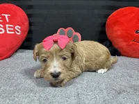 processed/e1eb33b4-003e-4a8e-bf1b-32beb59b2663/listing/da05b980-99b6-40a0-a7f7-cf428bcc35a4/ef5e0ced-3cde-4521-b6c7-56db456b2929