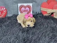 processed/e1eb33b4-003e-4a8e-bf1b-32beb59b2663/listing/ef3a6625-b0fb-4cc4-8b71-420ead1c7d72/bb61b93c-6da5-451b-aa2d-3642c30cc666