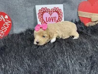 processed/e1eb33b4-003e-4a8e-bf1b-32beb59b2663/listing/ef3a6625-b0fb-4cc4-8b71-420ead1c7d72/bcfaff7d-2414-493a-aa56-8de298fe9bc7