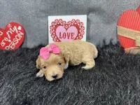 processed/e1eb33b4-003e-4a8e-bf1b-32beb59b2663/listing/ef3a6625-b0fb-4cc4-8b71-420ead1c7d72/fa1e05a5-ccf3-4a3a-ba4a-67322515daa5