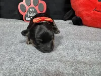 processed/e1eb33b4-003e-4a8e-bf1b-32beb59b2663/listing/f87195bf-724e-49de-9187-698c9eae23ba/0ed31870-67c9-4f59-ac2b-3f894bd876ed