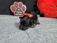 processed/e1eb33b4-003e-4a8e-bf1b-32beb59b2663/listing/f87195bf-724e-49de-9187-698c9eae23ba/30807c52-e28d-440c-a0cf-e0fa5947281a