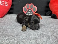 processed/e1eb33b4-003e-4a8e-bf1b-32beb59b2663/listing/f87195bf-724e-49de-9187-698c9eae23ba/4c55a23d-fd1c-4aa1-abc6-c2449c559787