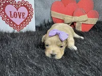 processed/e1eb33b4-003e-4a8e-bf1b-32beb59b2663/listing/f9375851-be4d-4008-96c9-ec18a3c61d19/70a1b4f7-e872-4026-ad60-ccc3fecc2623