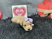 processed/e1eb33b4-003e-4a8e-bf1b-32beb59b2663/listing/f9375851-be4d-4008-96c9-ec18a3c61d19/c49ae881-c99d-4be0-90e3-85c211202df0