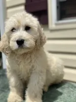 processed/e205776e-46f7-4723-b8ff-9c390ae00d26/listing/262ffd9a-f35f-4526-9ab5-2dbef3948067/0073d9ee-fc7d-4839-b364-016565bba30a