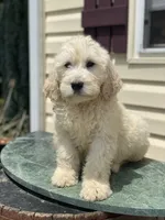 processed/e205776e-46f7-4723-b8ff-9c390ae00d26/listing/262ffd9a-f35f-4526-9ab5-2dbef3948067/55ee7c98-e3a6-4985-ba50-20d443559ee1