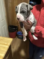 processed/e221df36-bec7-417c-b3c8-e0ffa51a6d3d/listing/39b83624-971d-45c0-bdd2-fb8013f62624/3cefaffd-e5e5-42f6-9909-c02026304a5f