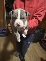 processed/e221df36-bec7-417c-b3c8-e0ffa51a6d3d/listing/39b83624-971d-45c0-bdd2-fb8013f62624/a7fc448c-a8a4-42c6-a07a-07bd8558ba5b