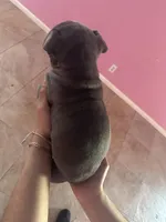 processed/e221df36-bec7-417c-b3c8-e0ffa51a6d3d/listing/432785b7-833c-4266-aad2-e86bd5e0314d/2368788b-1bbf-424f-b2f4-86f1fcde615c