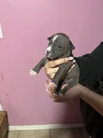 processed/e221df36-bec7-417c-b3c8-e0ffa51a6d3d/listing/57c94710-c8fa-458c-ae1a-733ff756194c/0b05a407-cb9a-4af4-a602-a229e2d40b15