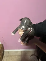 processed/e221df36-bec7-417c-b3c8-e0ffa51a6d3d/listing/57c94710-c8fa-458c-ae1a-733ff756194c/469f3ed6-ada1-47e6-bb76-38261ee25919