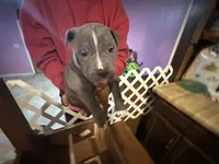 processed/e221df36-bec7-417c-b3c8-e0ffa51a6d3d/listing/8b22a8e3-0bf5-4629-8452-0a985d0b65c3/1602ed5b-8c2c-41d1-a3ce-e807c19d2cc7