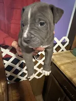 processed/e221df36-bec7-417c-b3c8-e0ffa51a6d3d/listing/8b22a8e3-0bf5-4629-8452-0a985d0b65c3/b25b391f-0d1b-4eb5-975a-2eaf7f2fda35