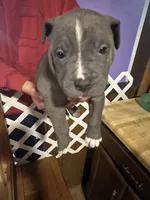 processed/e221df36-bec7-417c-b3c8-e0ffa51a6d3d/listing/8b22a8e3-0bf5-4629-8452-0a985d0b65c3/c69ed00e-d57b-4a86-a162-c0f472c50e7e