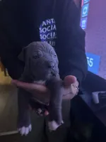 processed/e221df36-bec7-417c-b3c8-e0ffa51a6d3d/listing/9d50114e-87c6-4aef-b409-e41c554d23ec/31cabe70-b287-4436-a6cb-700faad5ddac