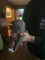 processed/e221df36-bec7-417c-b3c8-e0ffa51a6d3d/listing/9d50114e-87c6-4aef-b409-e41c554d23ec/b2107877-416d-4983-93f7-ba36a86ede54