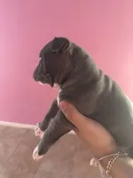 processed/e221df36-bec7-417c-b3c8-e0ffa51a6d3d/listing/b44aec3e-854a-4835-8879-0bc0995ec752/418f070f-1dcf-4a9a-a78f-6c9a86dd48f8