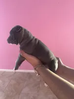 processed/e221df36-bec7-417c-b3c8-e0ffa51a6d3d/listing/b44aec3e-854a-4835-8879-0bc0995ec752/4657099c-5027-4c93-8431-337cb3417d27