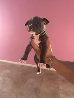 processed/e221df36-bec7-417c-b3c8-e0ffa51a6d3d/listing/b44aec3e-854a-4835-8879-0bc0995ec752/6085aa79-e49c-45ec-9984-6ddd6709937c