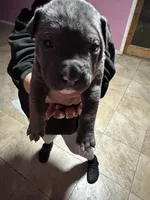 processed/e221df36-bec7-417c-b3c8-e0ffa51a6d3d/listing/bfab2181-b6d8-4d14-8907-1106a4896eea/2f681fc9-0ac2-43c6-8411-f0d9bcd75199