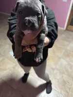 processed/e221df36-bec7-417c-b3c8-e0ffa51a6d3d/listing/bfab2181-b6d8-4d14-8907-1106a4896eea/d79d9725-5e1f-4e38-b088-c19ad3be5005