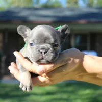 processed/e2226fea-284e-4cd2-965f-261834b3c2e8/facility/1d91de87-e527-4e1c-a7f8-73bd7515b009