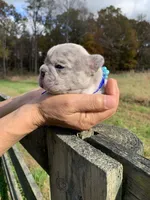 processed/e2226fea-284e-4cd2-965f-261834b3c2e8/facility/20f0971b-3427-4075-8973-b34a3802dc18