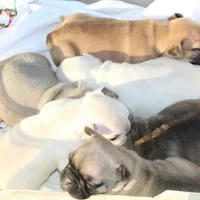 processed/e2226fea-284e-4cd2-965f-261834b3c2e8/facility/23163646-e8b7-4aa3-9fcf-7342ab599f3a