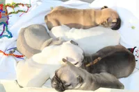 processed/e2226fea-284e-4cd2-965f-261834b3c2e8/facility/23163646-e8b7-4aa3-9fcf-7342ab599f3a