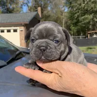 processed/e2226fea-284e-4cd2-965f-261834b3c2e8/facility/2400f6fb-f0c8-435c-82fa-db450b75d89f