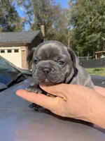 processed/e2226fea-284e-4cd2-965f-261834b3c2e8/facility/2400f6fb-f0c8-435c-82fa-db450b75d89f