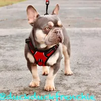 processed/e2226fea-284e-4cd2-965f-261834b3c2e8/facility/2c093d66-98f1-4191-9251-8163c505ad11