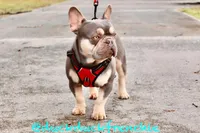 processed/e2226fea-284e-4cd2-965f-261834b3c2e8/facility/2c093d66-98f1-4191-9251-8163c505ad11