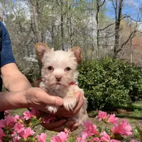 processed/e2226fea-284e-4cd2-965f-261834b3c2e8/facility/7e5e0233-1555-45ce-8d77-8a9efb304424