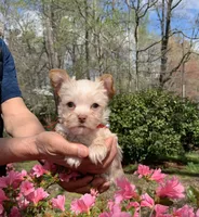 processed/e2226fea-284e-4cd2-965f-261834b3c2e8/facility/7e5e0233-1555-45ce-8d77-8a9efb304424