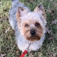 processed/e2226fea-284e-4cd2-965f-261834b3c2e8/facility/af3a0e2c-7148-438c-be7d-f1eaa01c8bab