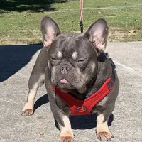 processed/e2226fea-284e-4cd2-965f-261834b3c2e8/facility/b8f87c30-bb83-4cb4-afd3-548e46dbd554