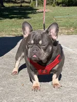 processed/e2226fea-284e-4cd2-965f-261834b3c2e8/facility/b8f87c30-bb83-4cb4-afd3-548e46dbd554