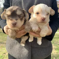 processed/e2226fea-284e-4cd2-965f-261834b3c2e8/facility/dff8b9c5-cae3-4d2c-a3dd-78ba271ac996