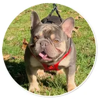 processed/e2226fea-284e-4cd2-965f-261834b3c2e8/facility/f67939e9-0985-4f81-88f9-51896509c1f4