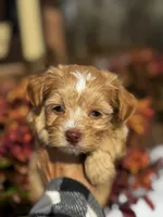 processed/e2226fea-284e-4cd2-965f-261834b3c2e8/listing/90361917-7569-4643-af48-088ee2665dcd/1f6ae6f0-d28e-4e12-ab1e-6d43eefcd68f