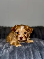 processed/e2226fea-284e-4cd2-965f-261834b3c2e8/listing/90361917-7569-4643-af48-088ee2665dcd/51388870-8723-4175-a1cf-dae3cfa1ffc7