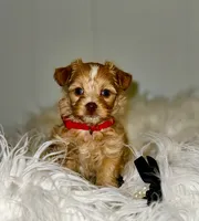 processed/e2226fea-284e-4cd2-965f-261834b3c2e8/listing/90361917-7569-4643-af48-088ee2665dcd/5fc876b6-a337-4f43-8273-2d1fc718a222